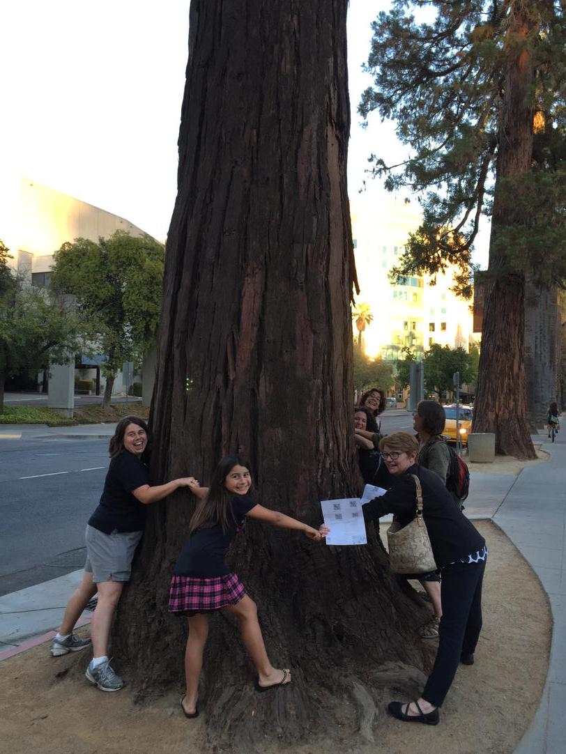 misteanjava's tweet image. #scavengerCSTA15