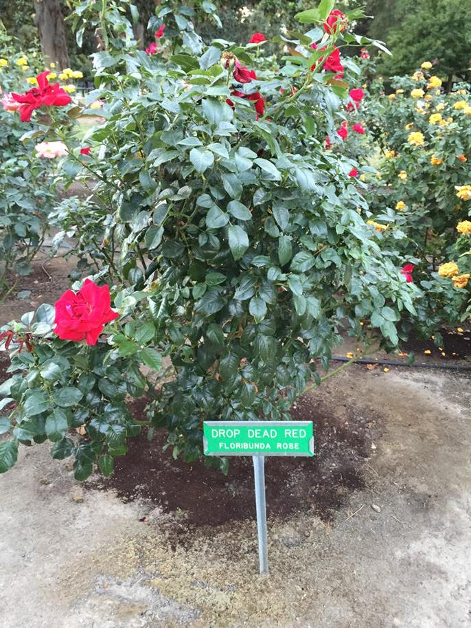 misteanjava's tweet image. #ScavengerCSTA15