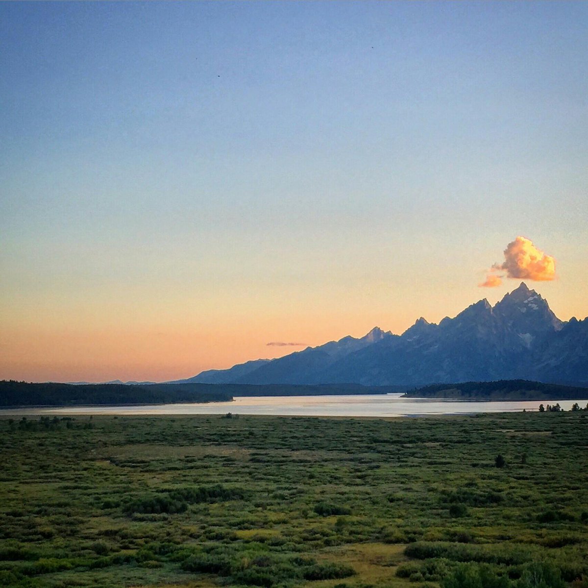 ChansenInstitut's tweet image. 