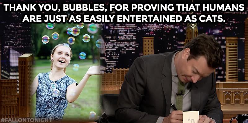 FallonTonight's tweet photo. Thank you, bubbles, for proving that humans are just as easily entertained as cats. #FallonTonight http://t.co/CShX4ESzvr