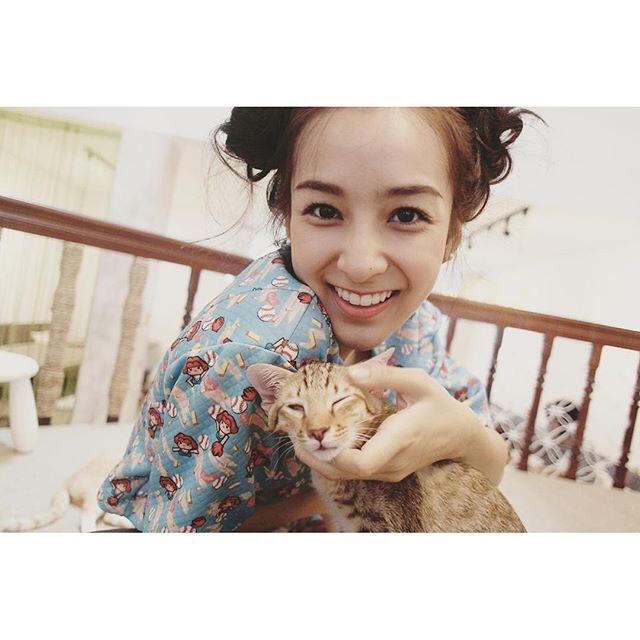 ig.sirinissirin - Chippy: oh hey camera! Smile kitty😄
Cat: Ouch! Ah..my neck..hey im not ready! My fac..
#pintopix