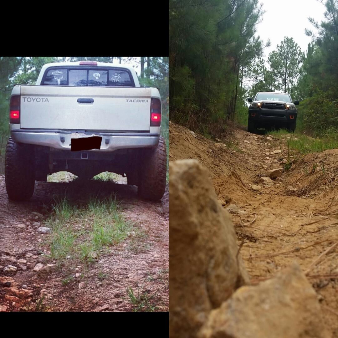 BackwoodsBoss's tweet image. #instasize