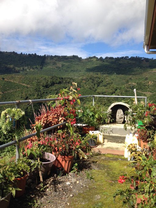 I'm living here for awhile so I'm going to disconnect from social media and just enjoy my surroundings<a href="/tag/heatnation"class="tags"><span>#heatnation</span></a>