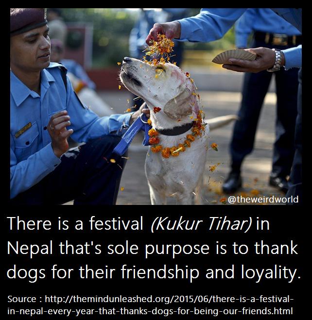 Shower Thoughts (@shwrthght) on Twitter photo 