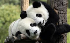 SeungVira's tweet photo. truely big hug... http://t.co/75xLiuWT20