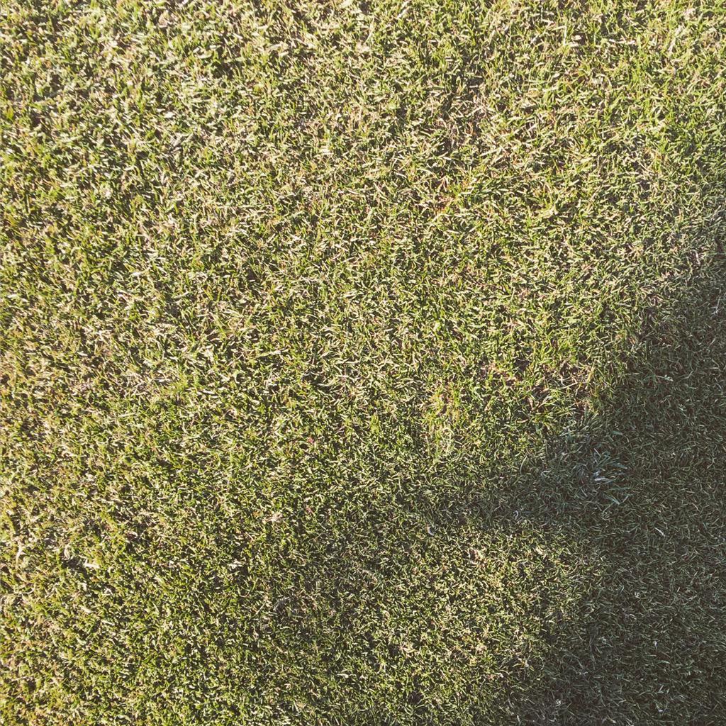 CoachLockey's tweet photo. Don't forget to repair your divots this weekend too #LockeyArmy the #DivotPolice will be after you #SpotTheDivot http://t.co/tUsbeG7r6a