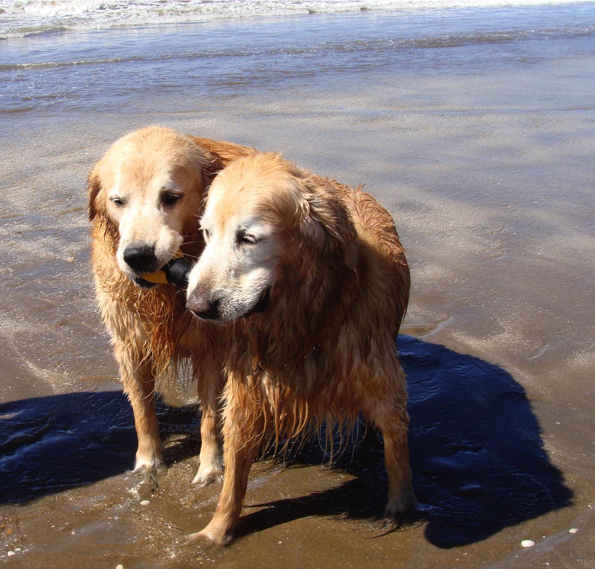 Alberarg tweet media