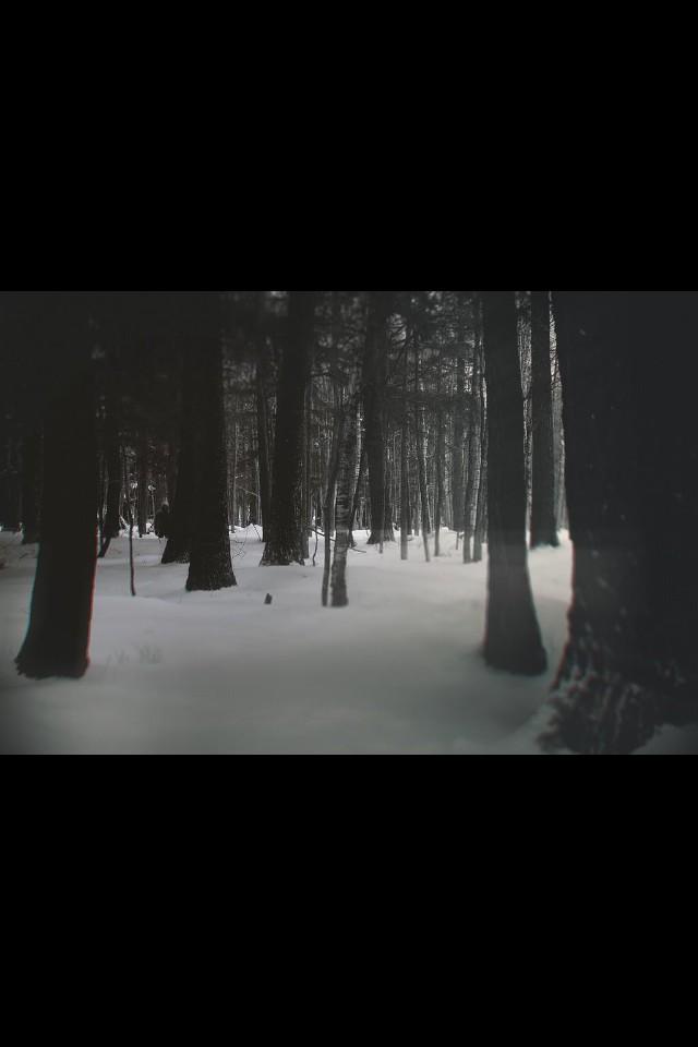 FreakyMysteries's tweet photo. Retweet When You Find Him...
https://t.co/EUNtu2PbkS