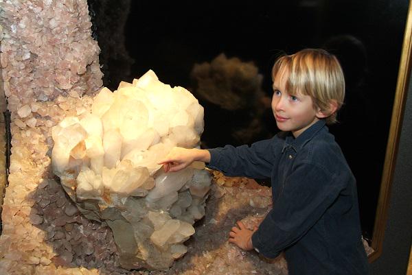 Une oeuvre d'#art de notre #patrimoine découvrez notre #projet bit.ly/1M2cM5O #solidarité #spirit #animals