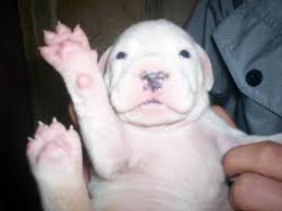 nisakara (@nisanisakara) on Twitter photo 