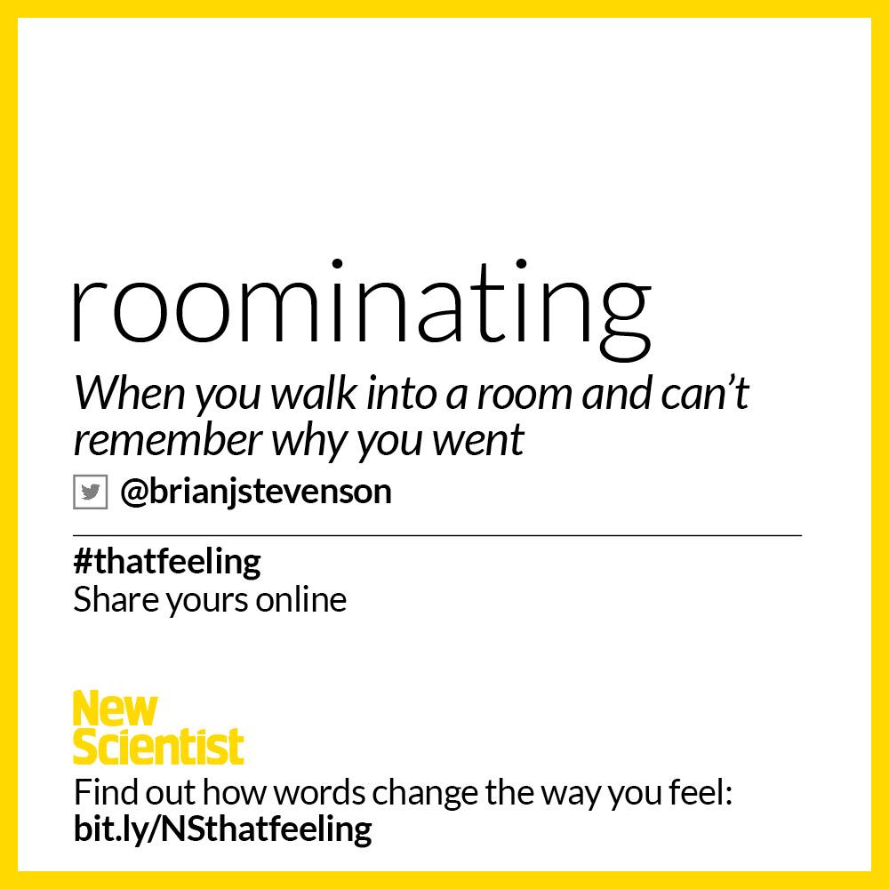 newscientist's tweet photo. Ever found yourself roominating? A great #thatfeeling suggestion from @brianjstevenson http://t.co/EsxJfvVh5q http://t.co/GpkZvVLgIn