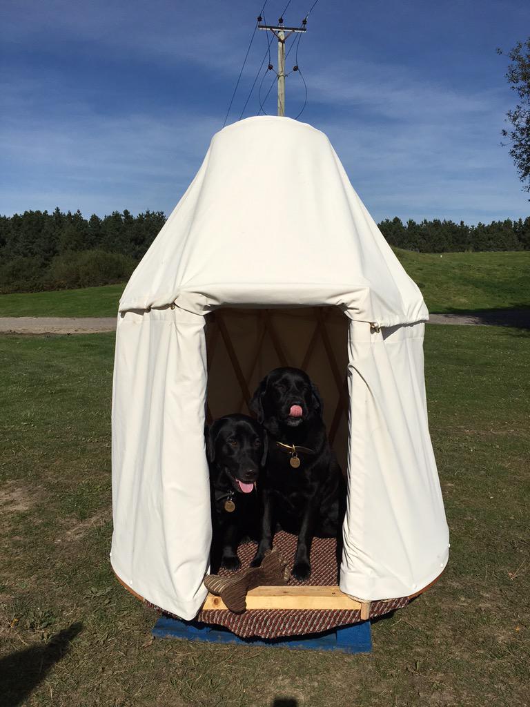 Lisa_OconnorYD's tweet photo. #kiddyHour Our #charity #handmakes #pet #yurts too! Order now for #Christmas delivery https://t.co/z6gHOq5oZd https://t.co/ZwgkPs8ltm
