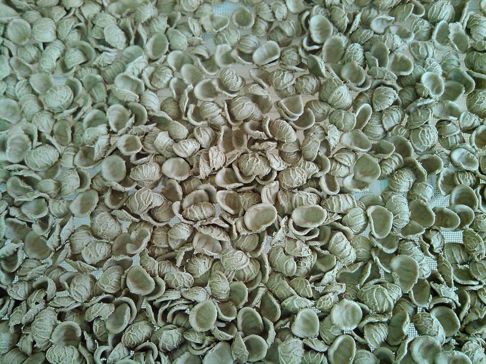 Eventi_BellaIta's tweet photo. grano arso da simbolo di povertà ad alimento ricercato #GEIE #GAL #ecichefcontest #Puglia http://t.co/N5fKRdDmcf http://t.co/GwVcc5rOuY