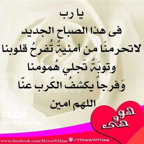 abdo.yonus (@abdelftahyonus) on Twitter photo 