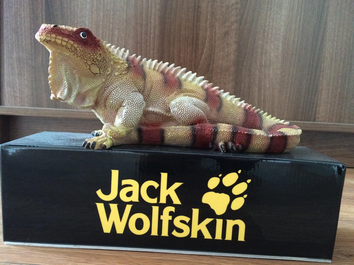 We are Urban Chameleon &amp; this is a chameleon. Pop in and say hello, he doesnt bite. He loves wearing <a href="/JackWolfskinUK/">Jack Wolfskin UK</a>