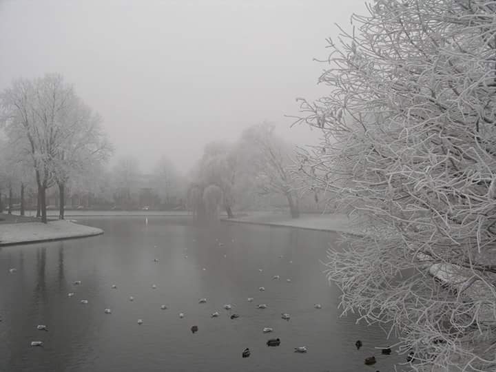 Helper_Santa's tweet image. 