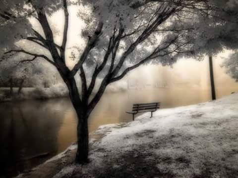 Helper_Santa's tweet image. 