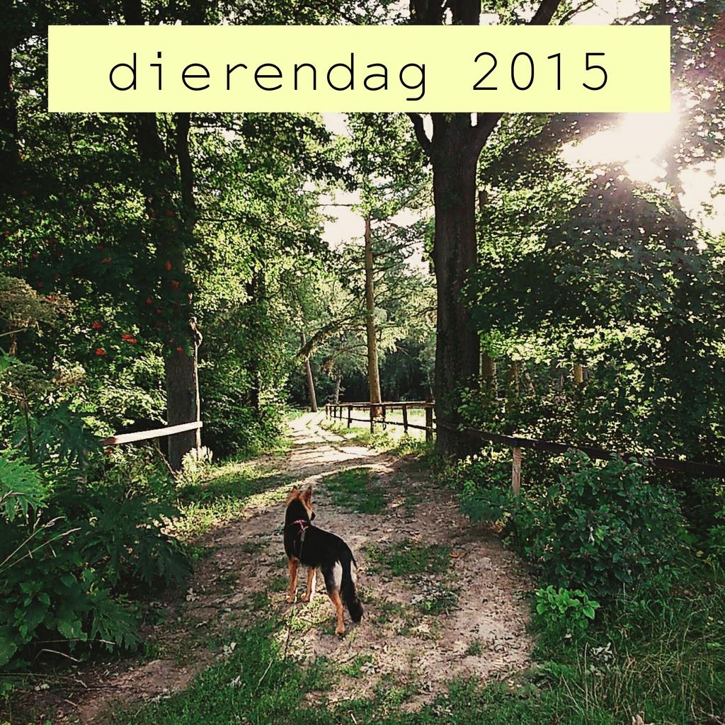 Trakteer je viervoeter morgen op een mooie herfstwandeling (gratis routes bij ons) en jezelf op een taartje :)