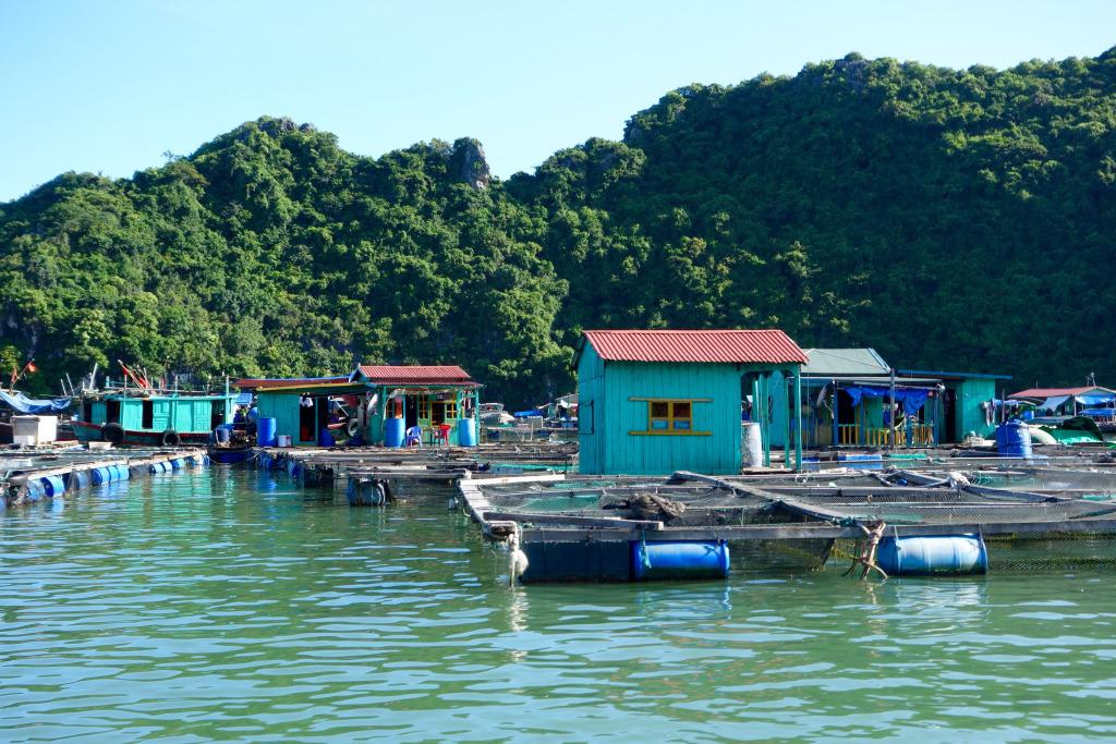 EveryAdventure_'s tweet image. Vietnam off the Beaten Track: Nautical Adventures on Monkey Island everydayadventuresblog.com/2015/10/03/vie…