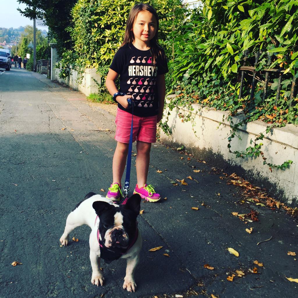 Mrs_V_'s tweet image. Walking my human #frenchbulldog #frenchie #LittleMissBoo #HappyEars
