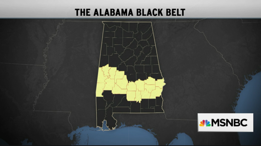 MSNOWNews's tweet image. Racial pattern in Alabama DMV closings suggests dirty trick: on.msnbc.com/1VuLYWu
