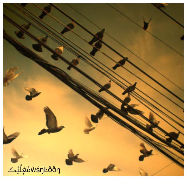 as88as77's tweet image. إذا كانت بصمة إصبعك تميز هويتك الشخصية عن الآخرين،
فبصمة لسانك تميزك في قلوب البشر فاجعلها بصمة مميزة لا يشبهها أحد،،