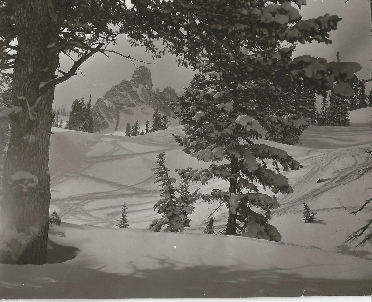 #snowbasin75
<a href="/utahsteve/">utahsteve</a>