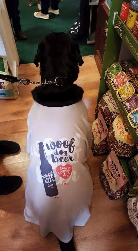 DogHooseTynemth's tweet photo. #teamwoof #norman #rescue #woofdogbeer #petstop #petshop #tynemouth #gginger http://t.co/iTfgtyvpsc