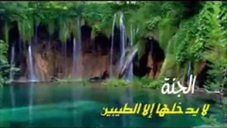 طارق أبو الذهب. (@abu_aldhab) on Twitter photo 