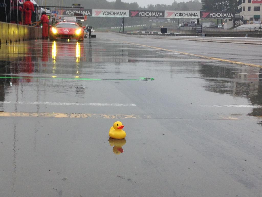 Late driver change for us. He's light and he floats. Seems appropriate. <a href="/IMSA/">IMSA</a> <a href="/RoadAtlanta/">Michelin Raceway Road Atlanta</a>