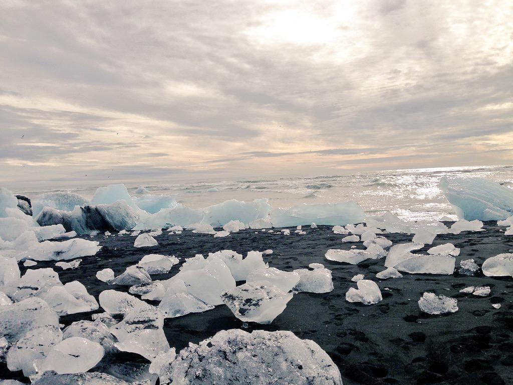 Eusebio Larrea tweet media