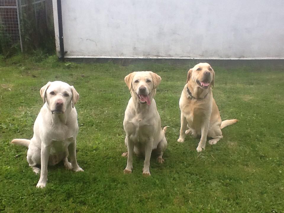 Better....💕💕💕💕