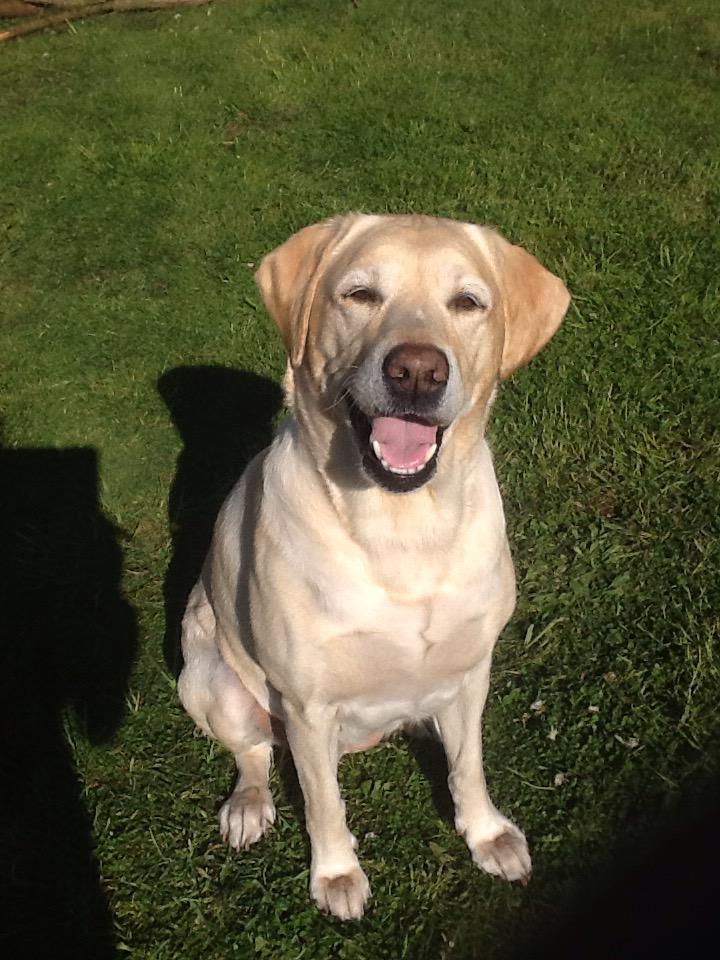 Jessie 💕💕💕💕🐶