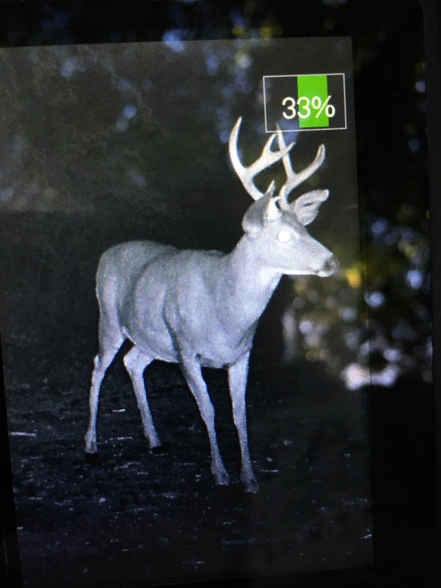 BullseyeCamera tweet media