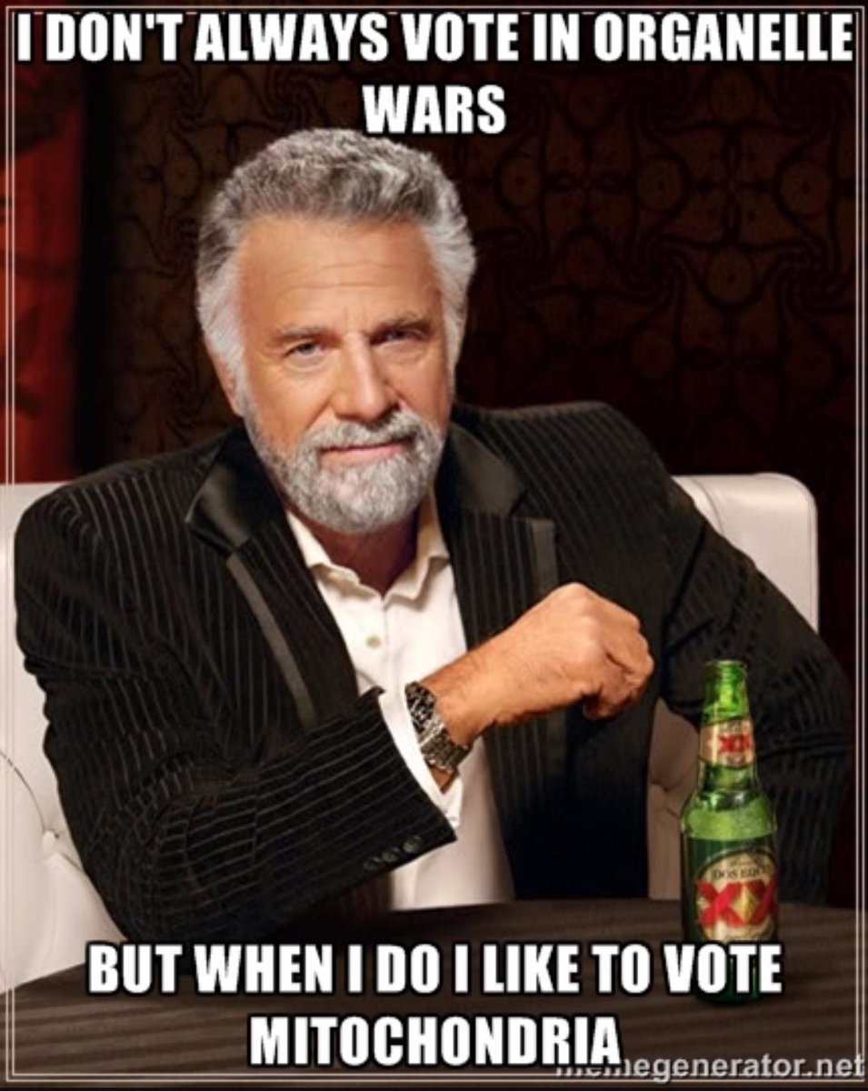 thebestpartmito's tweet photo. VOTE FOR MITOCHONDRIA!!!!!! @MrHeitkamp #organellewars http://t.co/hctEhMb1df