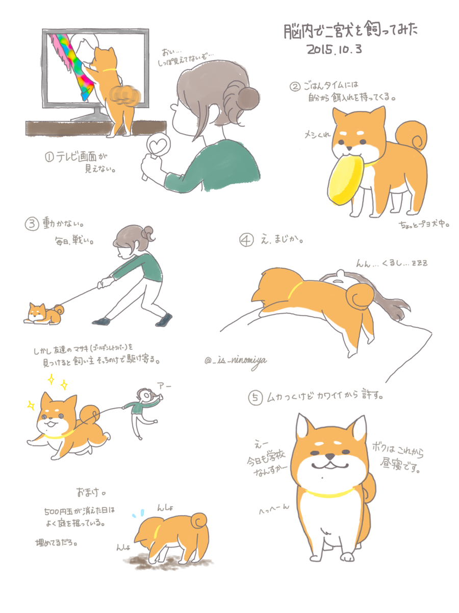 _is_ninomiya's tweet photo. 脳内で二宮犬を飼ってみた。柴犬じゃないよ、二宮犬だよ。 http://t.co/XcsTBdUa05