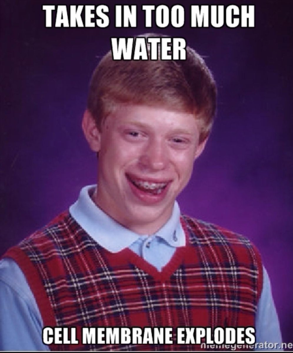 thebestpartmito's tweet photo. What if I love water @MrHeitkamp @mrs_plasma #organellewars http://t.co/qMV1OtwWju