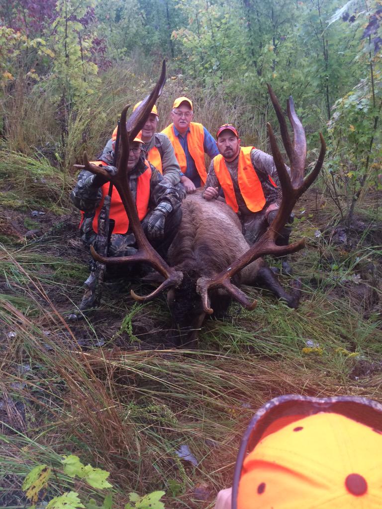 HuntingRb's tweet photo. Sucessful hunt on opening day 370 class bull 9x8 great hunting contact us for you a bull this big http://t.co/y6FM11mEzw