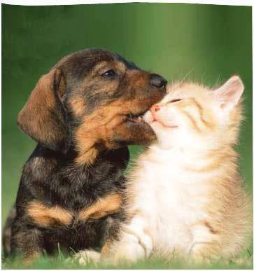 Sen öyle çağırmasan, ben böyle gelmezdim..
N.Bekiroğlu..