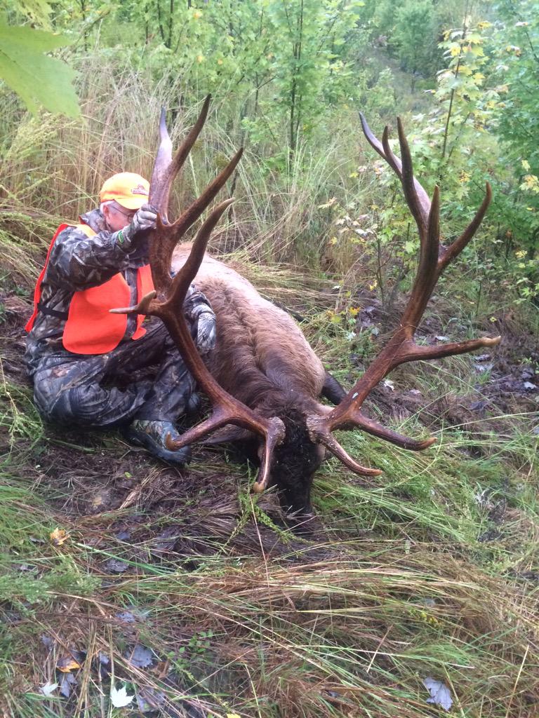 HuntingRb's tweet photo. This elk taken this morning just grossed 408!!!! First 400 inch in Kentucky http://t.co/RtdOlPHyN8
