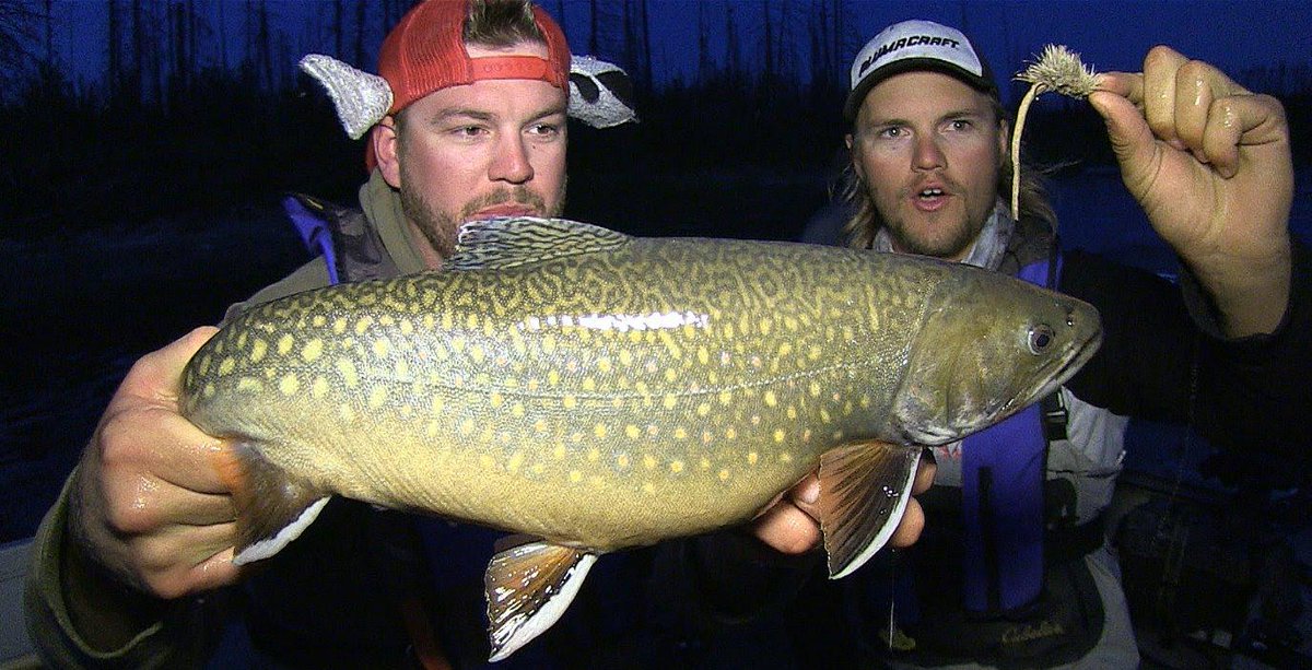 FishTVChannel's tweet photo. #HotMouseBite #PreSpawnBrookTrout #NorthernManitoba #DillonBeckGuideService #UncutAngling http://t.co/HAzgEH8CzN http://t.co/uuCAPpkRMy