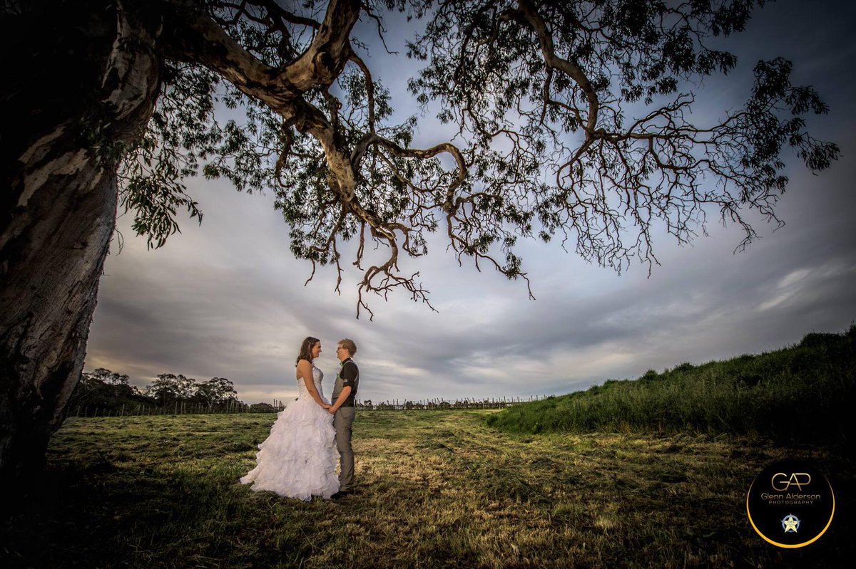 "Stunning location for your wedding. Love shooting at thi..." Foursquare Tip <a href="/howard_vineyard/">Howard Vineyard</a> 4sq.com/1L5rVpv