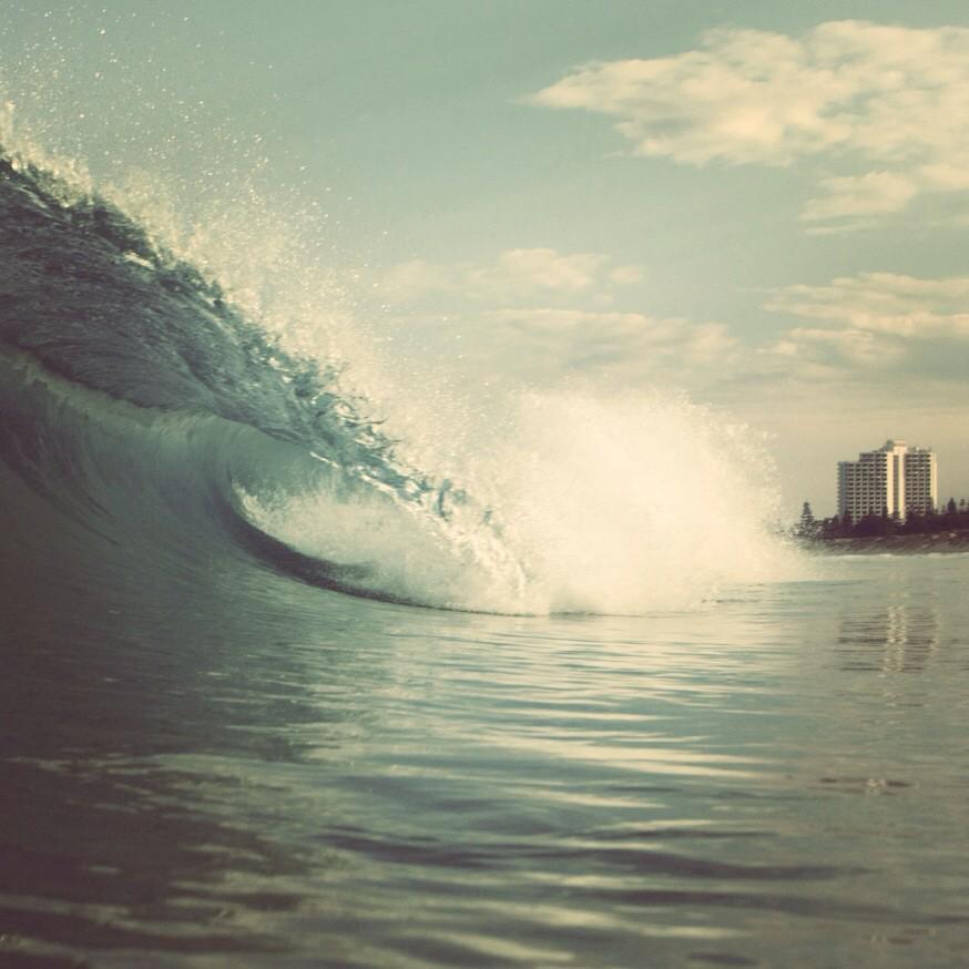 swellcast tweet media