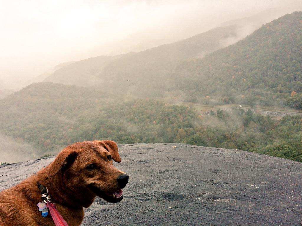 While Mango's parents Won all the cross races Mango was working on her QOM <a href="/MangoTDog/">Mango the Dog</a> <a href="/blogblogblog/">reidbeloni</a> <a href="/NinaTheNinja4/">Nina Laughlin</a>