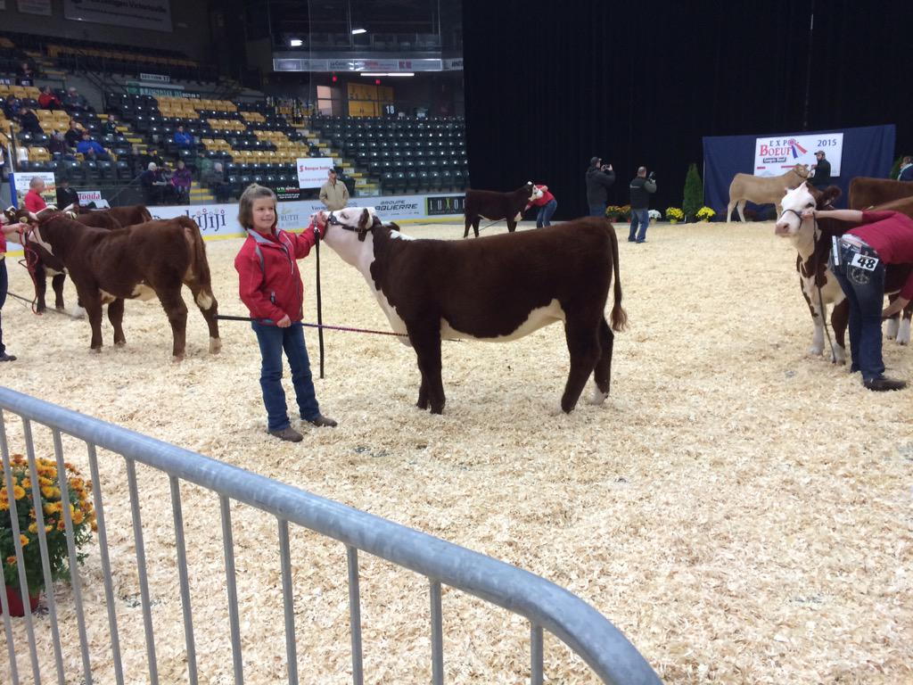 #TYKTWAg promoting beef production and the #Hereford #Cattle breed.