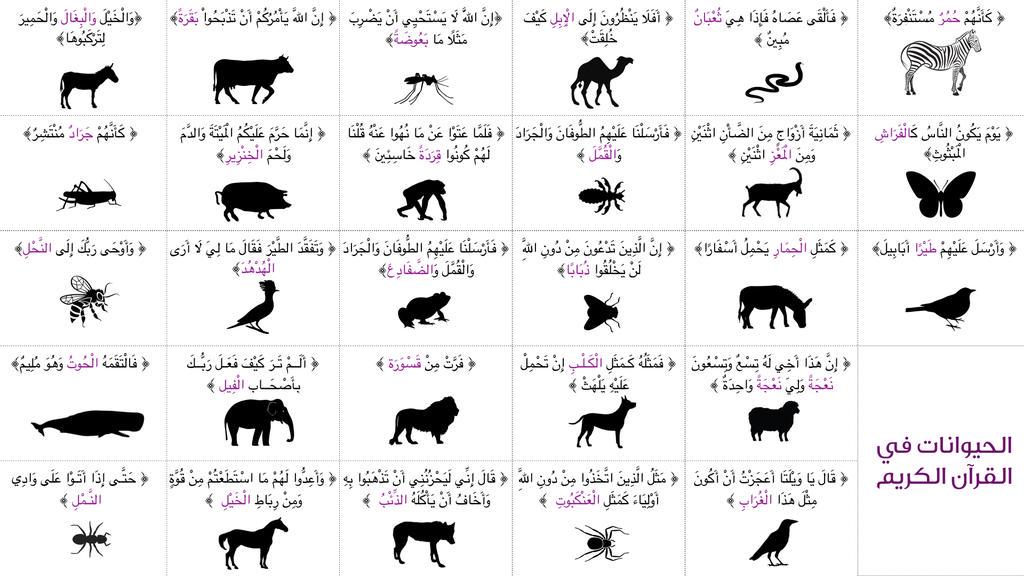 بعض ماذكر في #القرآن_الكريم من الحيوانات والحشرات .