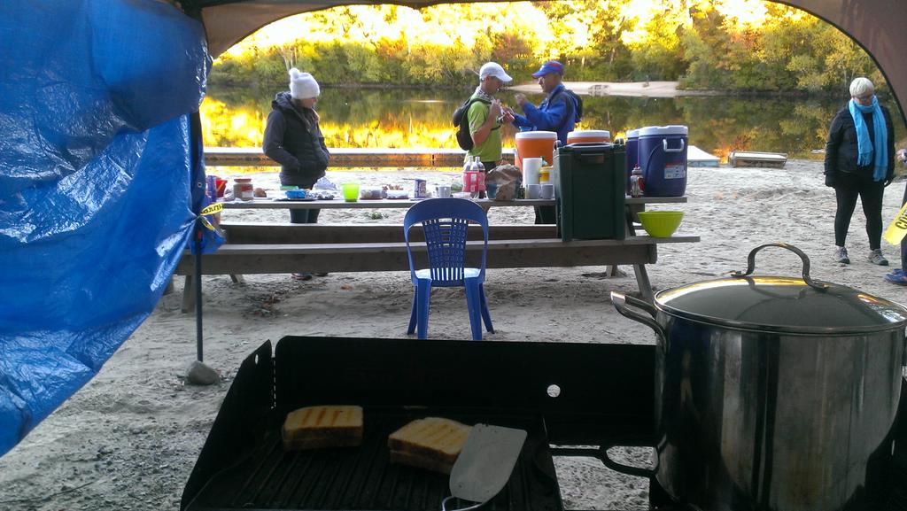 Trail Animals tweet media