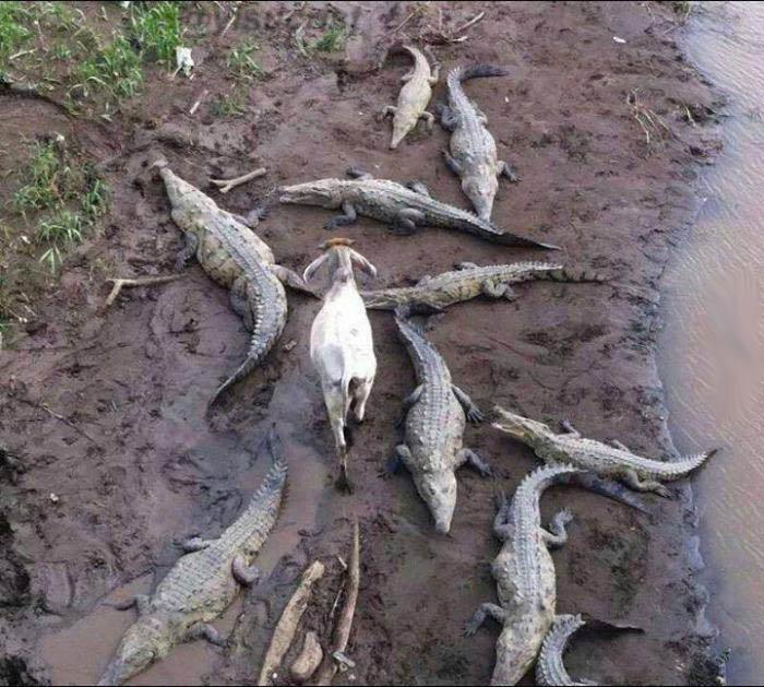 yisucrist's tweet photo. THUG LIFE http://t.co/7SRWazrvYu