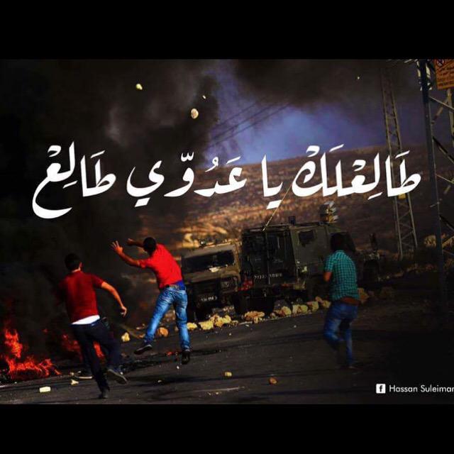 Qaisatallah's tweet photo. فلسطين تنتفض ✌️

 #الانتفاضة_الثالثة 
#الانتفاضة_انتطلقت 
#qaisatallah http://t.co/LC00ZDWnOB