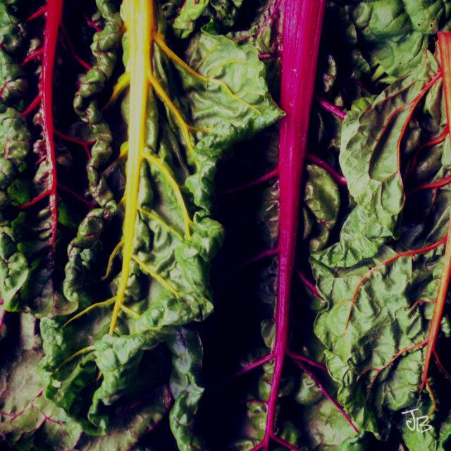 JolieBStudios's tweet photo. Scavenged Greens ~ Color and Pattern by Design #photo #farm #hiddencreativity http://t.co/MOjv7uc4Wy